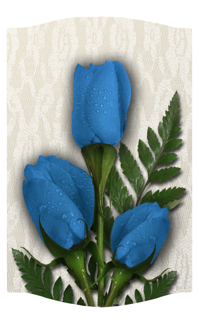 DNSLOG C 051 2 Roses Blue 